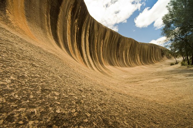 Wave Rock, York, Wildflowers, And Aboriginal Cultural Day Tour From Perth - thumb 5