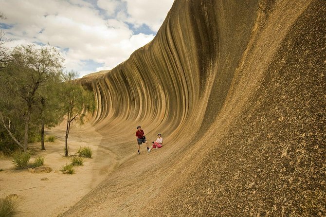 Wave Rock, York, Wildflowers, And Aboriginal Cultural Day Tour From Perth - thumb 0