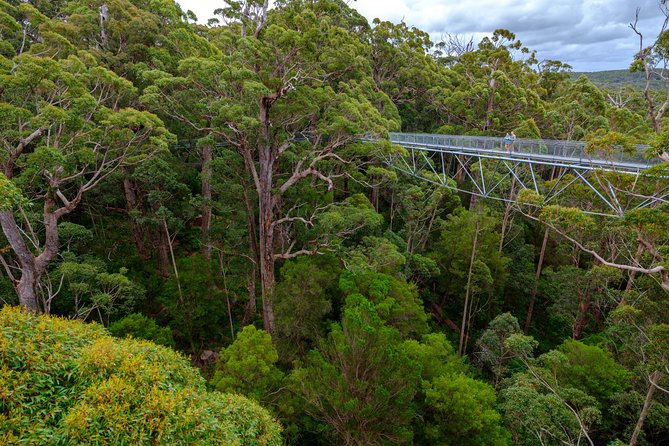 4 Day Tour: Albany, Margaret River, Valley Of The Giants TreeTop Walk From Perth - thumb 3