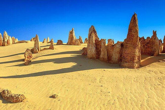 Full-Day Pinnacles Desert And Yanchep National Park Tour From Perth - thumb 0
