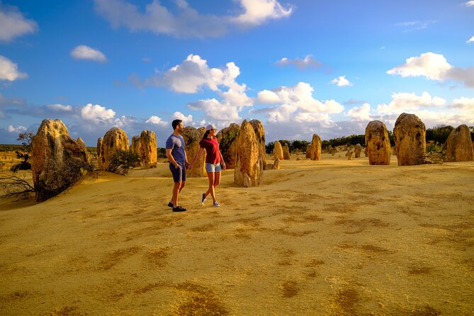 Full-Day Pinnacles Desert And Yanchep National Park Tour From Perth - thumb 5