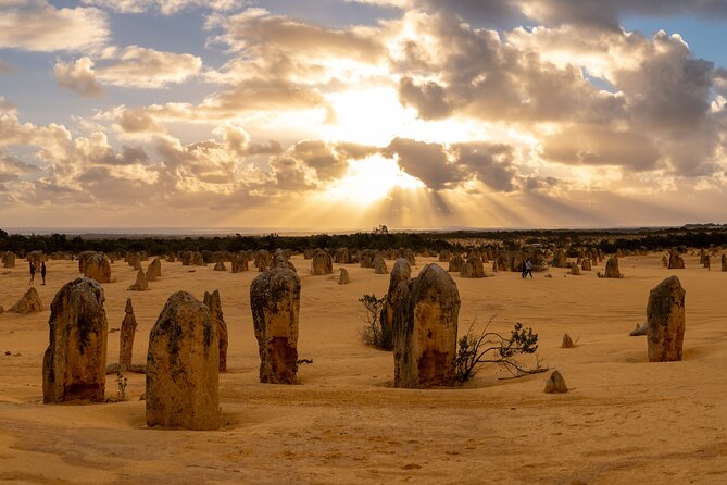 Full-Day Pinnacles Desert And Yanchep National Park Tour From Perth - thumb 4