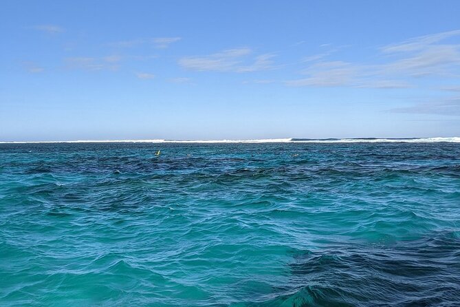 Marine Eco Safari - Swim With Manta Rays - thumb 2