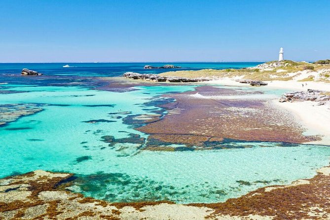 Rottnest Island Wild Seafood Package With Round Trip Ferry From Perth - thumb 7