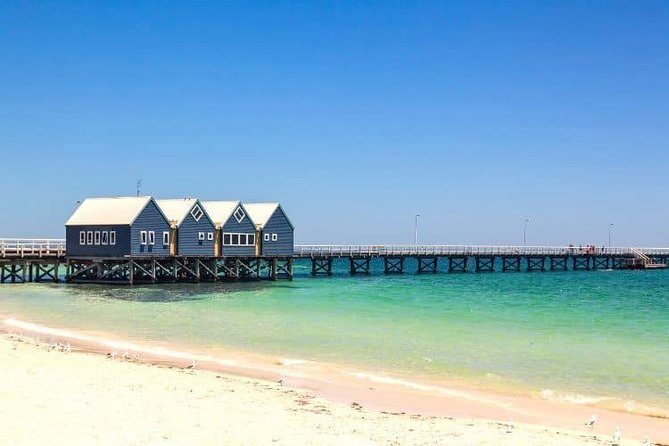 Busselton and scenic drive full day tour - Geraldton Accommodation