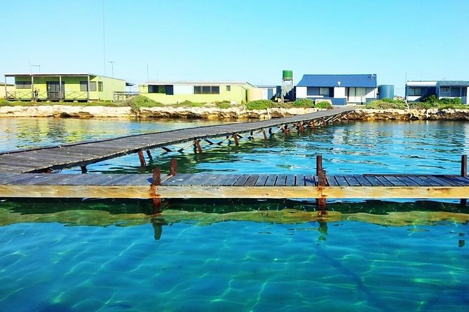 Abrolhos Islands 3 Day Fishing Charter - thumb 0