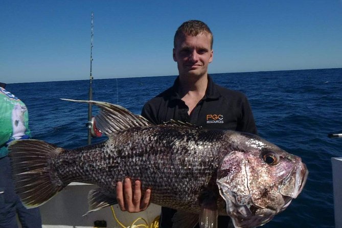 Abrolhos Islands 3 Day Fishing Charter - thumb 4