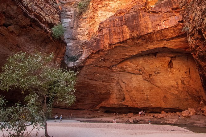 Overnight At Wilderness Lodge: Bungles, Cathedral + Echidna Chasm - thumb 3