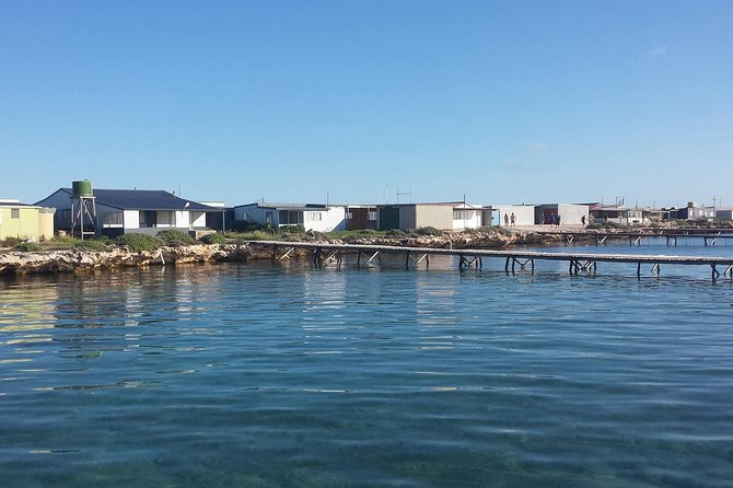 Abrolhos Islands 4 Day Fishing Charter - thumb 9