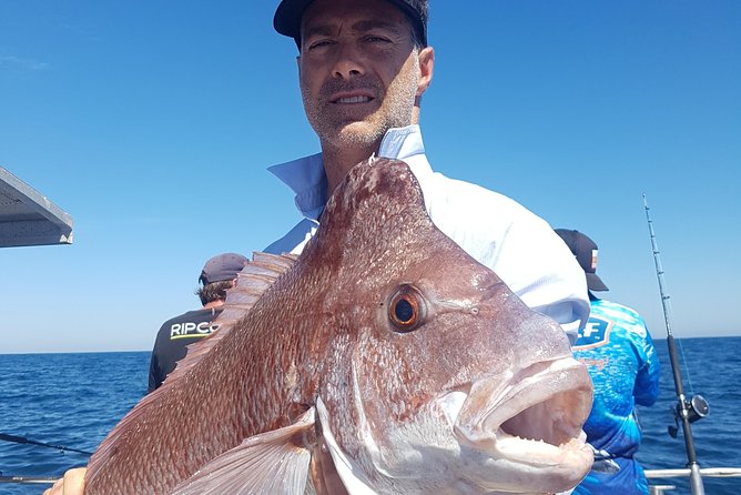 Abrolhos Islands 4 Day Fishing Charter - thumb 8