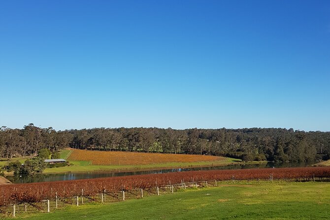 Highlights Of Margaret River: Boutique Wineries & Unique Experiences - thumb 5