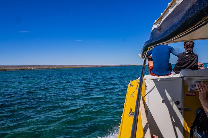 Ningaloo Immersion Private Charter - Accommodation Perth