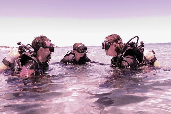 Scuba Dive The Beautiful Rottnest Island - thumb 3