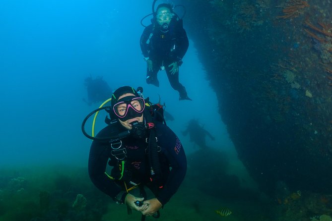 Scuba Dive The Beautiful Rottnest Island - thumb 0