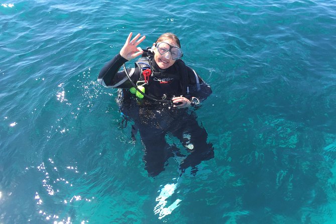 Scuba Dive The Beautiful Rottnest Island - thumb 5