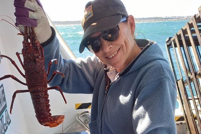 Lobster Fishing Tour At Geraldton - thumb 2