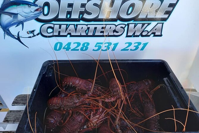 Lobster Fishing Tour At Geraldton - thumb 0