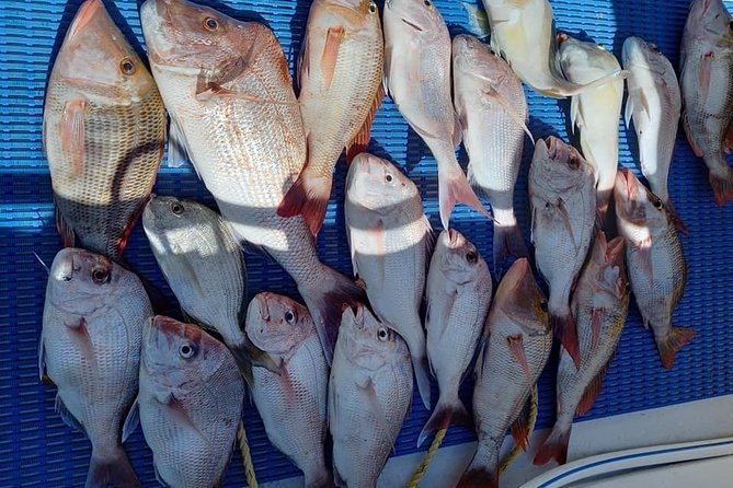 Geraldton Fishing Charter - thumb 7