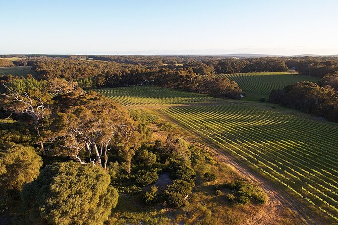 Private Wine Discovery Class And Food Tasting In Margaret River - thumb 2