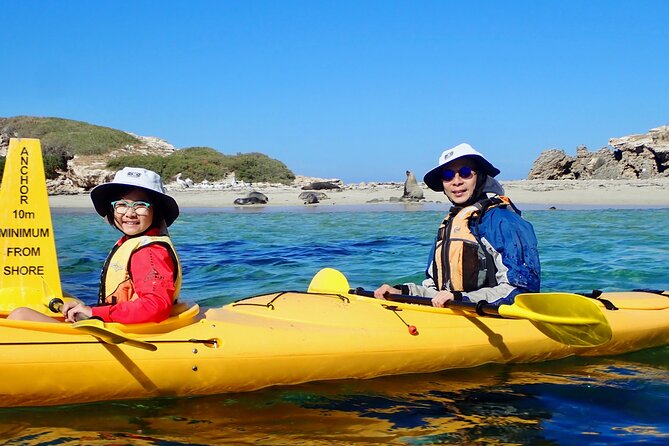 Penguin And Seal Islands Sea Kayaking Experience - thumb 5