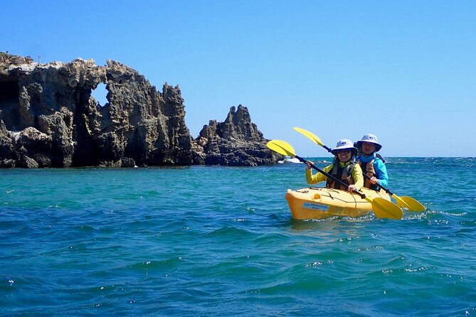 Penguin And Seal Islands Sea Kayaking Experience - thumb 2