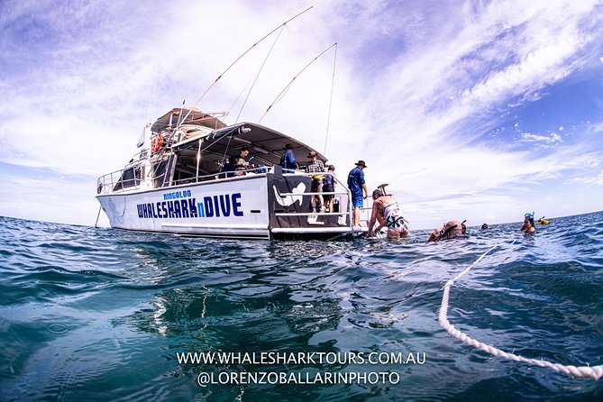 Full-Day Whale Sharks Swimming Experience On Ningaloo Reef - thumb 13