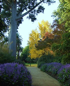Albury Botanic Garden - Accommodation in Bendigo