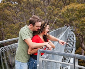 Valley of the Giants Tree Top Walk - Accommodation Perth