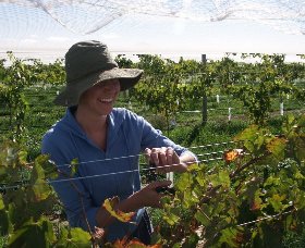 Kingsdale Wines - Redcliffe Tourism