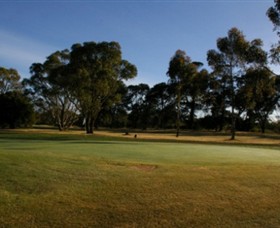Winchelsea Golf Club - Melbourne Tourism