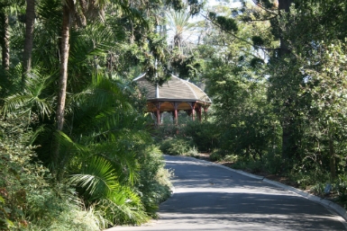 Royal Botanic Gardens Victoria - St Kilda Accommodation