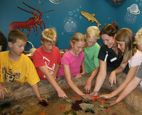 Naturaliste Marine Discovery Centre - Attractions