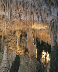 Mammoth Cave - Attractions