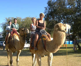 Calamunnda Camel Farm - Geraldton Accommodation