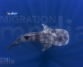 Migration Media - Accommodation Kalgoorlie