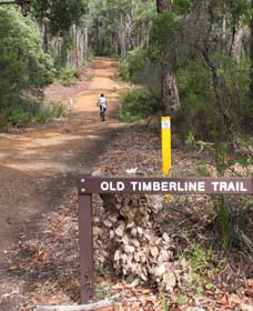 Old Timberline and Sidings Rail Trails - Accommodation Nelson Bay