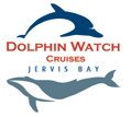Dolphin Watch Cruises - thumb 2