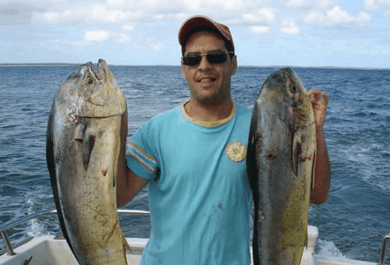 Jervis Bay Fishing and Charters - St Kilda Accommodation