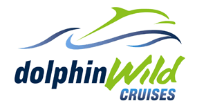 Dolphin Wild Cruises - Attractions 4