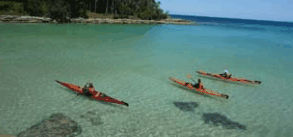 Jervis Bay Kayak & Paddlesports - Attractions 4