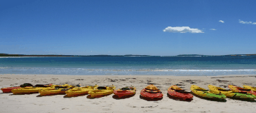 Jervis Bay Kayak & Paddlesports - Attractions 5