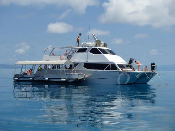 Ocean Free & Ocean Freedom - Cairns Premier Reef And Island Tours - Attractions 1