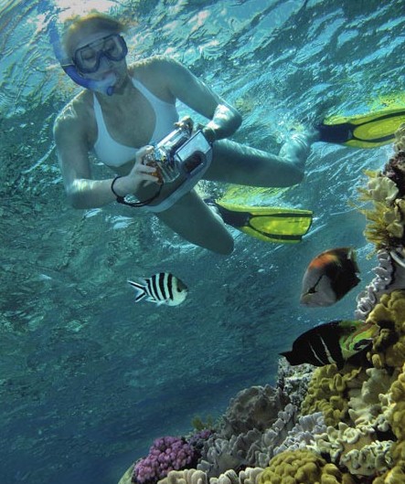 Calypso Reef Charters - Tourism Cairns