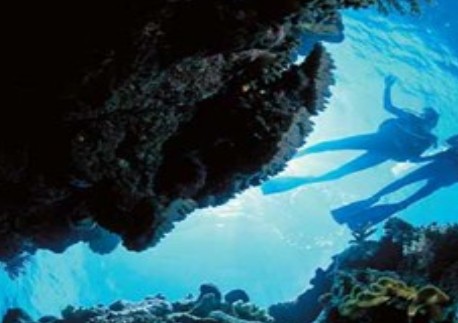Deep Sea Divers Den - thumb 0
