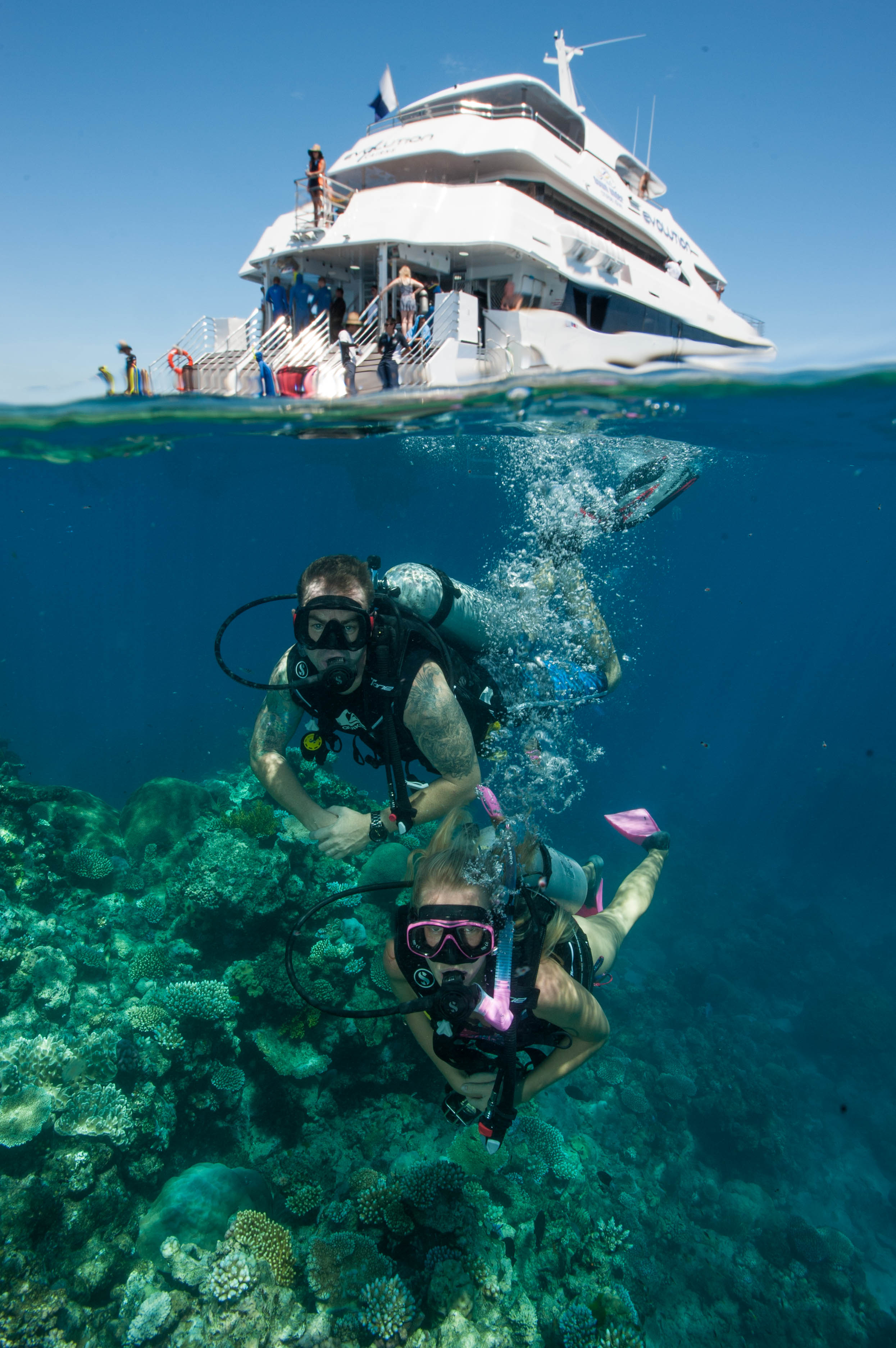 Down Under Cruise and Dive - Accommodation Georgetown