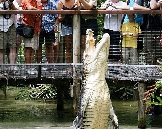 Hartley's Crocodile Adventures - Attractions Melbourne