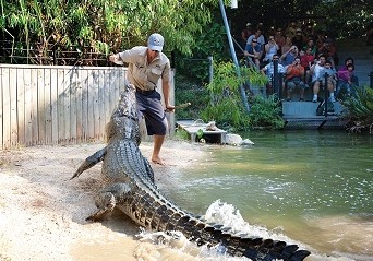 Hartley's Crocodile Adventures - thumb 4