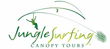 Jungle Surfing Canopy Tours and Jungle Adventures Nightwalks - New South Wales Tourism 
