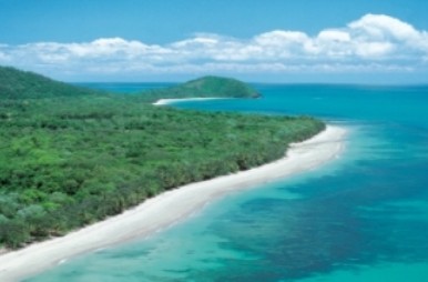 Reef and Rainforest Connections - Tourism Cairns