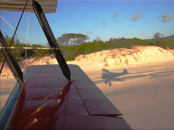 Tigermoth Adventures Whitsunday - Palm Beach Accommodation
